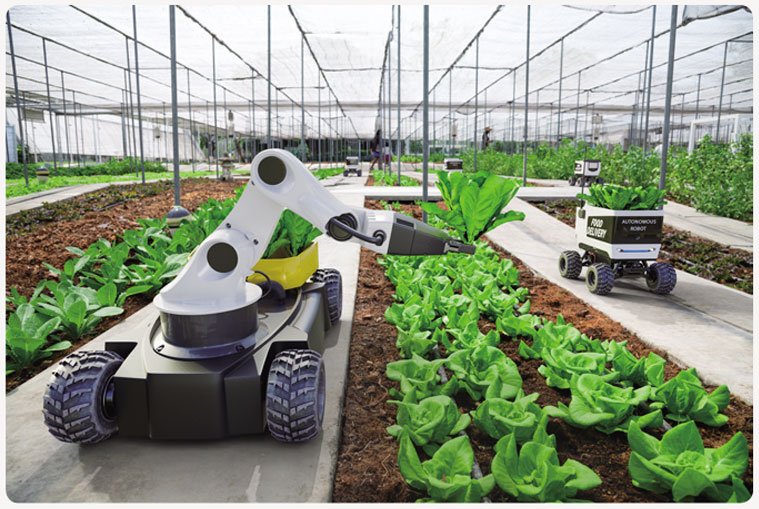 스마트팜 | Pertanian Cerdas