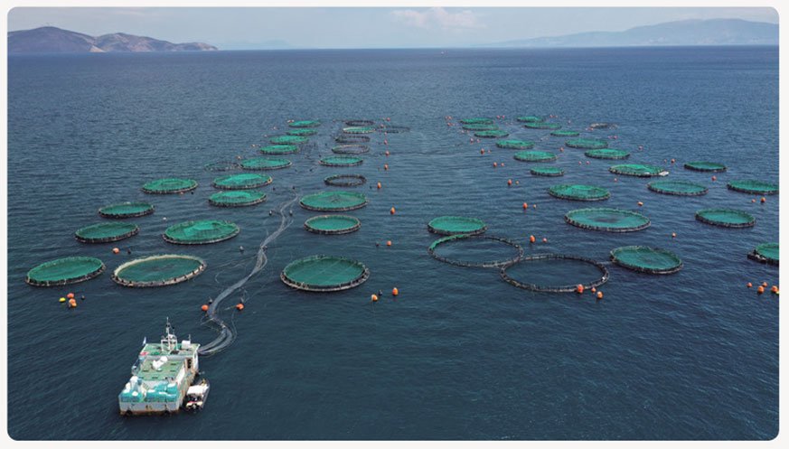 한국의 양식업 | Budidaya Perikanan Korea