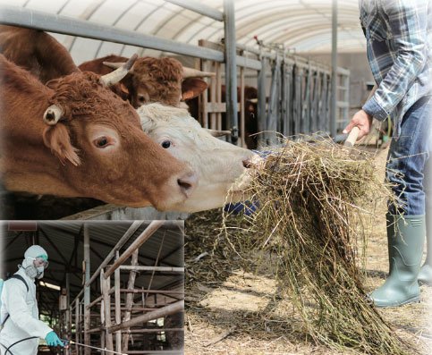 대화 PERCAKAPAN 1 & 2