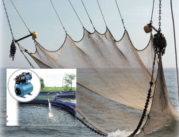 대화 PERCAKAPAN 1 & 2